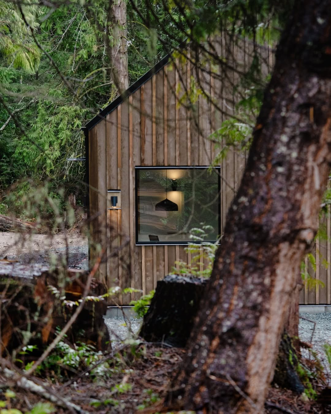 Modern homes inspired by nature